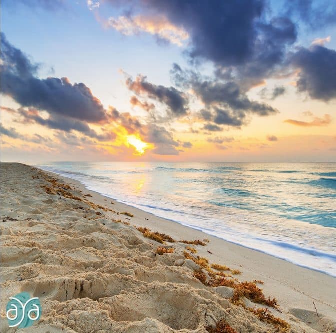 Sunrise over tranquil beach with waves, footprints in sand, and scattered seaweed.